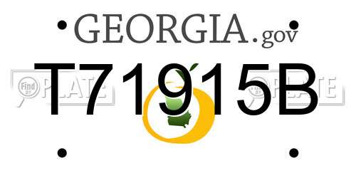 T71915B Georgia License Plate