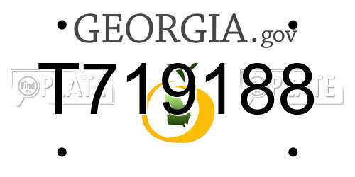 T719188 Georgia License Plate