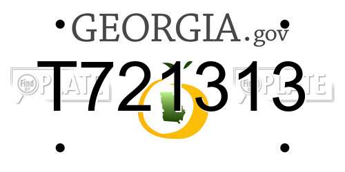 T721313 Georgia License Plate