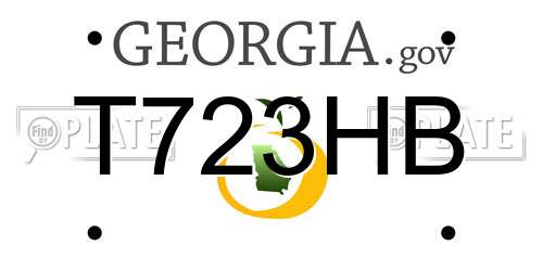 T723HB Georgia License Plate