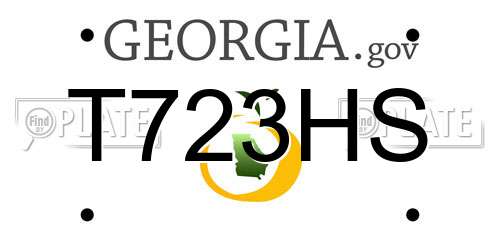 T723HS Georgia License Plate