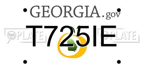 T725IE Georgia License Plate