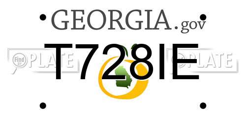 T728IE Georgia License Plate