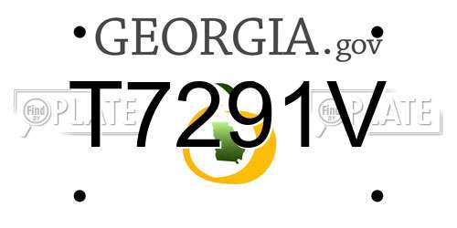 T7291V Georgia License Plate