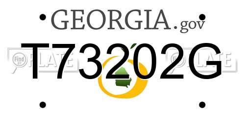T73202G Georgia License Plate