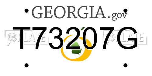 T73207G Georgia License Plate