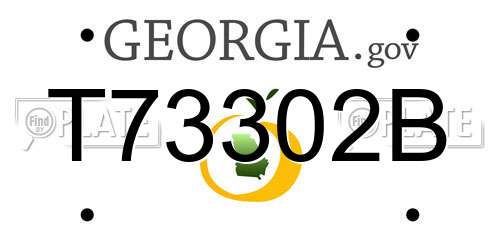 T73302B Georgia License Plate