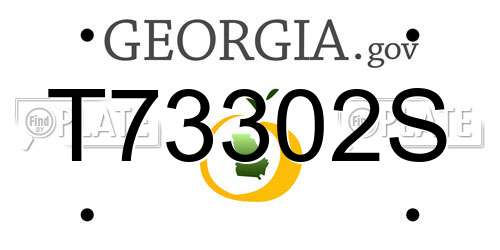 T73302S Georgia License Plate