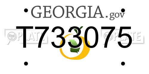 T733075 Georgia License Plate