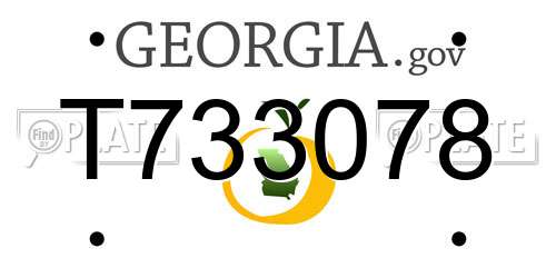 T733078 Georgia License Plate