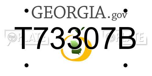 T73307B Georgia License Plate