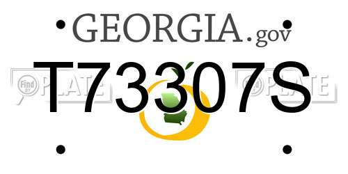 T73307S Georgia License Plate