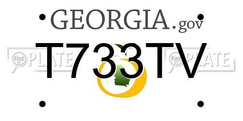 T733TV Georgia License Plate