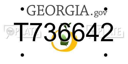 T736642 Georgia License Plate