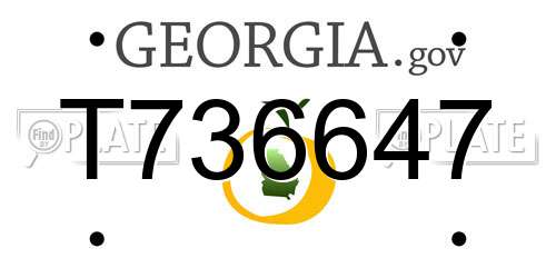 T736647 Georgia License Plate