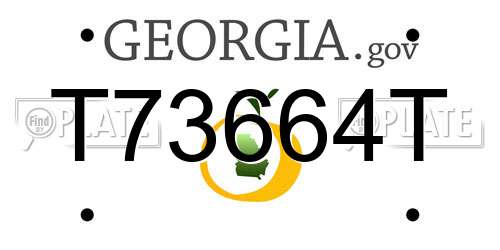 T73664T Georgia License Plate