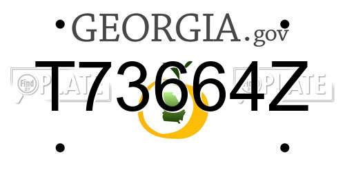 T73664Z Georgia License Plate
