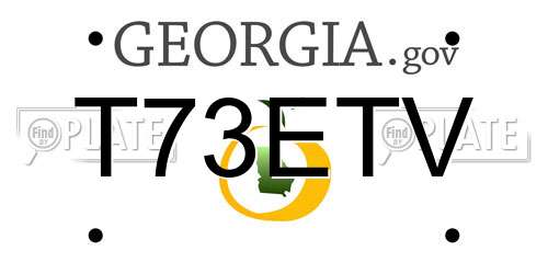 T73ETV Georgia License Plate
