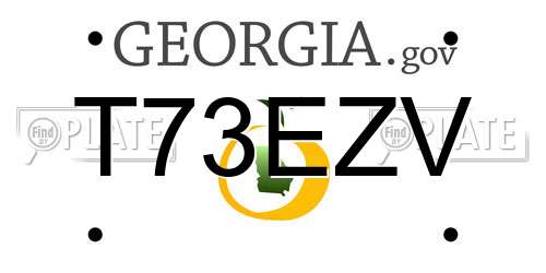 T73EZV Georgia License Plate