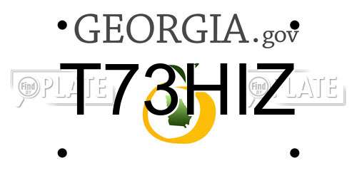 T73HIZ Georgia License Plate