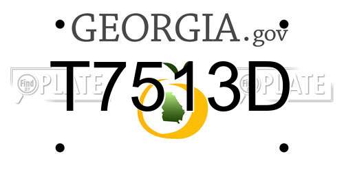 T7513D Georgia License Plate