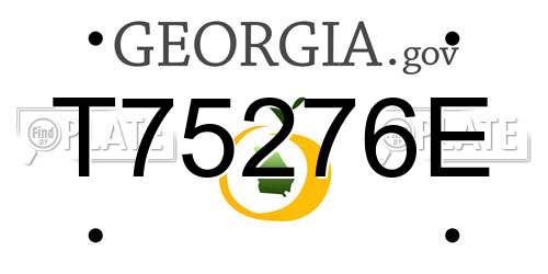 T75276E Georgia License Plate