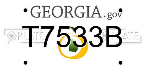 T7533B Georgia License Plate