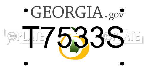 T7533S Georgia License Plate