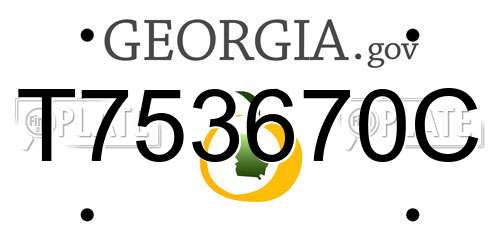 T753670C Georgia License Plate