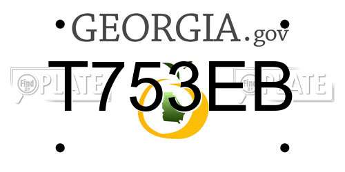 T753EB Georgia License Plate
