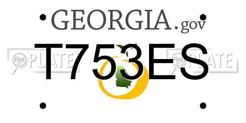 T753ES Georgia License Plate