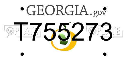 T755273 Georgia License Plate