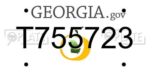 T755723 Georgia License Plate