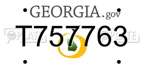 T757763 Georgia License Plate