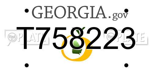 T758223 Georgia License Plate