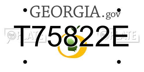 T75822E Georgia License Plate