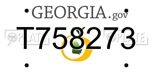 T758273 Georgia License Plate
