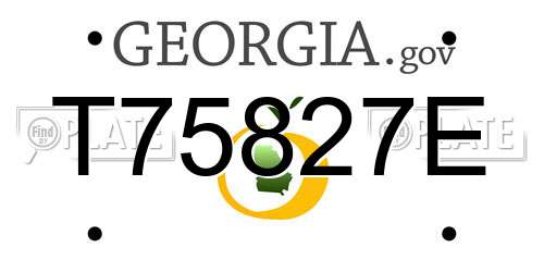 T75827E Georgia License Plate