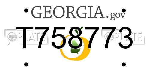 T758773 Georgia License Plate