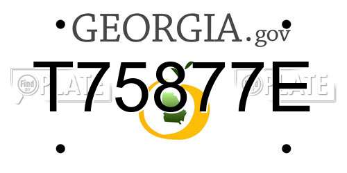 T75877E Georgia License Plate