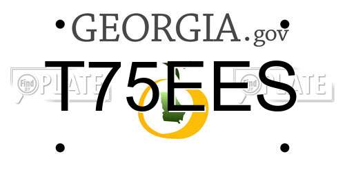 T75EES Georgia License Plate