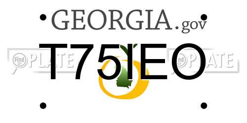 T75IEO Georgia License Plate