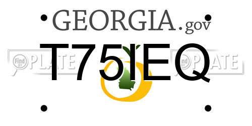 T75IEQ Georgia License Plate