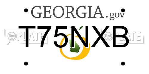 T75NXB Georgia License Plate