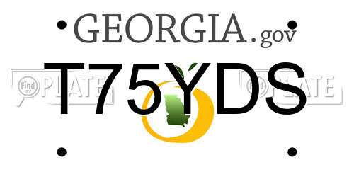 T75YDS Georgia License Plate