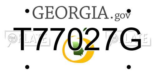 T77027G Georgia License Plate