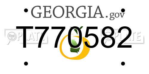 T770582 Georgia License Plate