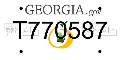T770587 Georgia License Plate