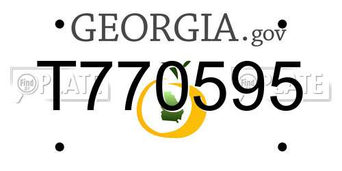 T770595 Georgia License Plate