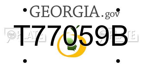 T77059B Georgia License Plate